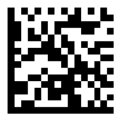 QR-Code BatchMode Disabled.png