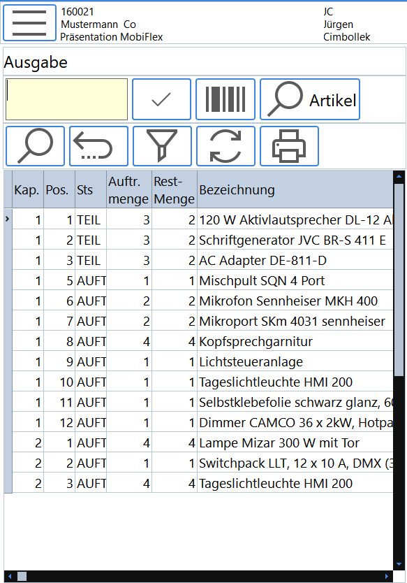 MegaFlex Ausgabe Bsp1.png