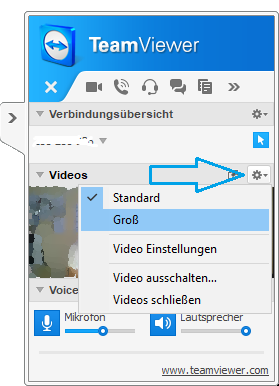 TeamViewer 08 VideoFensterGross.png