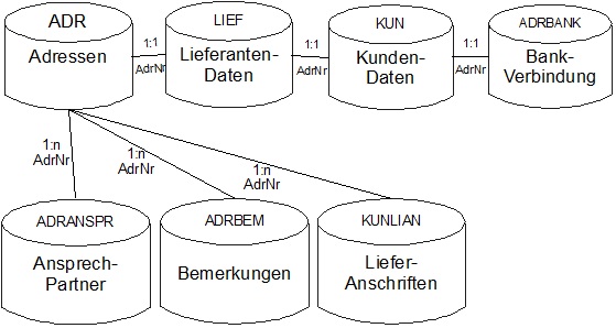 REFLEX Datenbankbeschreibung Kontakte.jpg