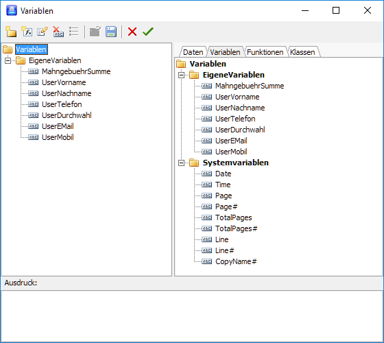 FastReport Variablen Fenster Bsp.png