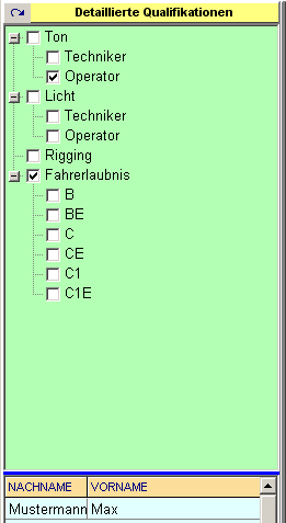 Detaillierte Qualifikationen 10.png