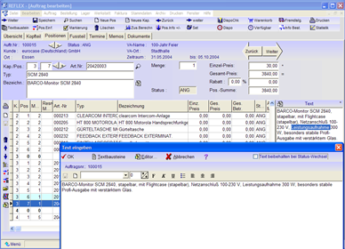 REFLEX Auftragserfassung Texteingeben.png