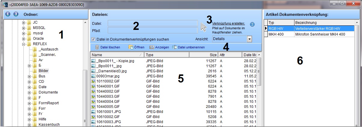 REFLEX DokumentenManager DateiManager Fenster.jpg