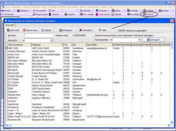 REFLEX Stammdaten Kontake Adressetiketten Kennzeichenmehrere.jpg