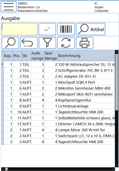 MegaFlex Ausgabe Bsp1.png