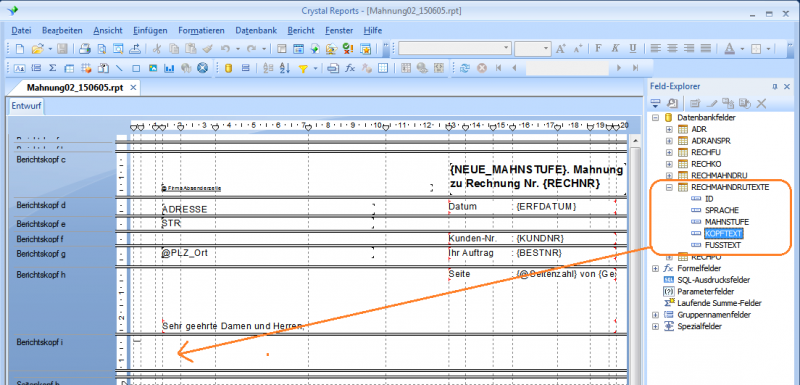 Datei:REFLEX Mahnungen Reports Feld Einf 01.png