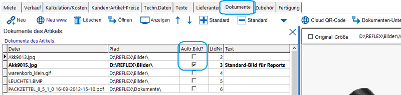 Datei:LieferscheinSetsUndBilder 04ArtStammBspRx.png
