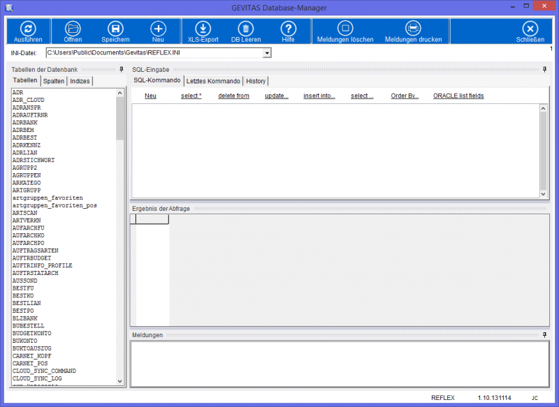 REFLEX DatabaseManager Fenster NEU.png