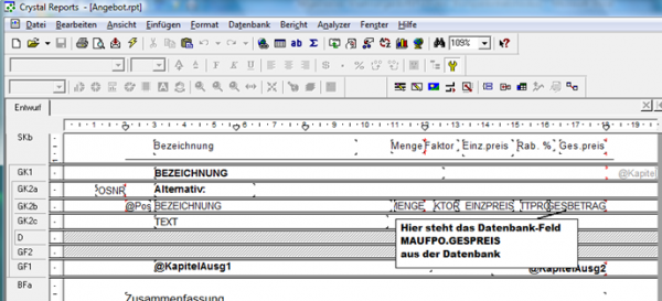 REFLEX Programmparameter Crystal Reports.png