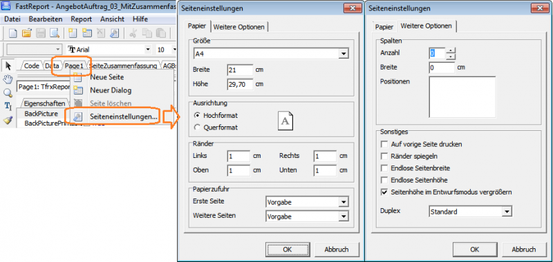 Datei:FastReport Seiteneinstellungen.png