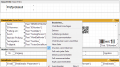 FastReport TPS Pruefprotokoll MasterBand Option.png