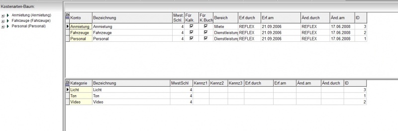 REFLEX Stammdaten Kostenarten.jpg