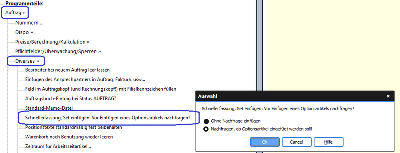 Datei:REFLEX Auftragserfassung SetOptionsartikel Parameter.png