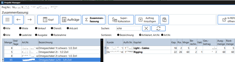 Datei:ProjMan 13 ZusFass.png